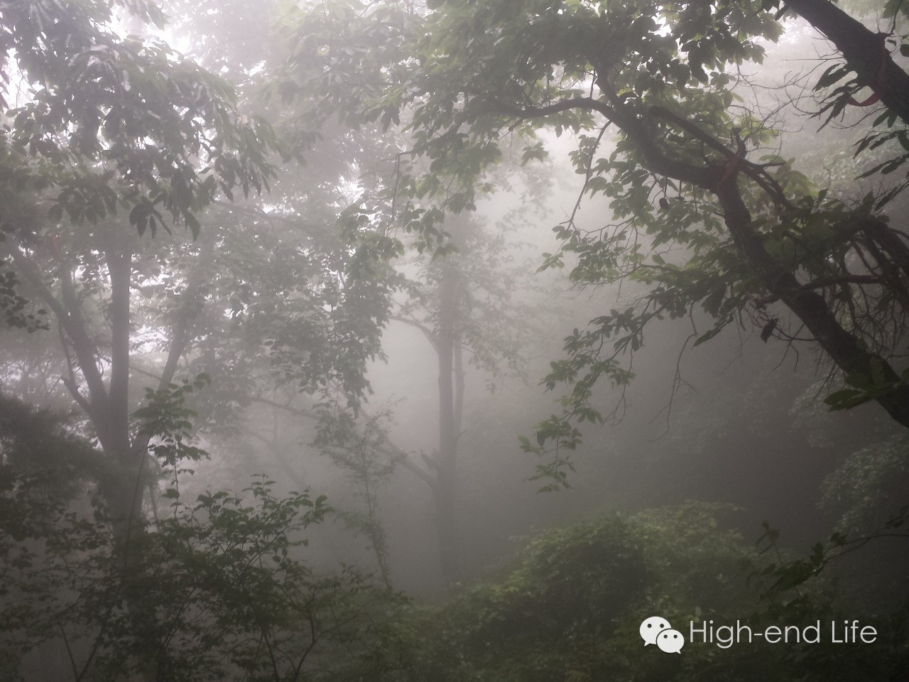 香奈儿夏天的味道,你最爱的夏天是什么样子