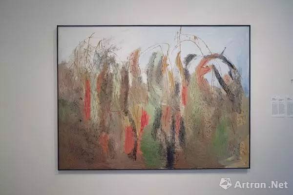 「直击卡塞尔」如何把卡塞尔打造成“最具政治性的”文献展?