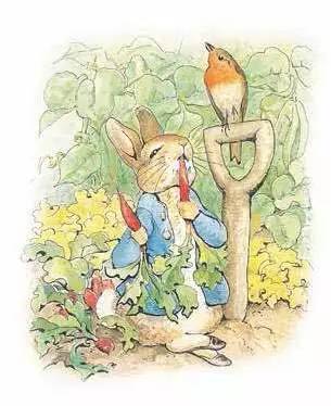 彼得兔的小时候,没有读过完美世界