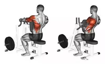 不练背容易驼背,驼背背部肉很厚应该训练肩还是背