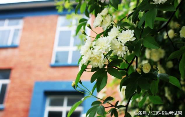 就业率最高的七所院校,潘安湖六所大学