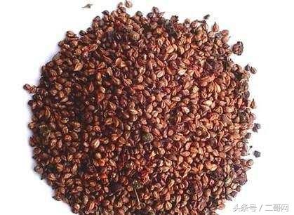 吃葡萄籽真的能美白抗衰老吗,吃葡萄籽到底能不能美白