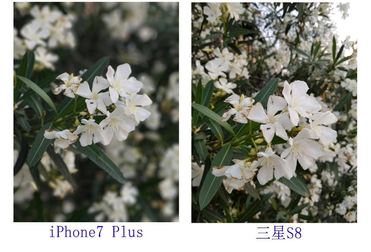 拿什么感动我,三星s8轻体验