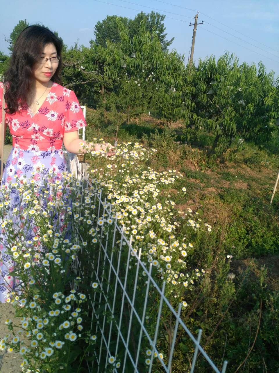 有蕡其实：爱上诗老河口黄桃杯诗歌全国征文大赛获奖作品展播