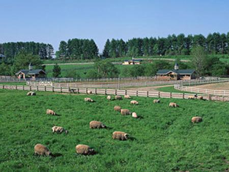 十大前景最好的生意,最赚钱