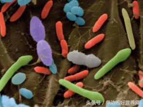 感觉胃酸多吃什么可以缓解,感觉自己胃酸多怎么办