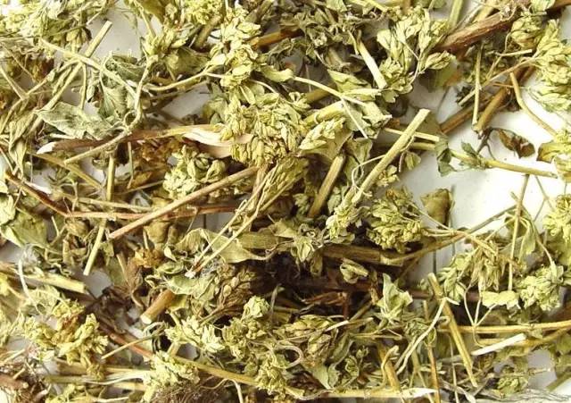 对肝脏好的食物和茶都是什么,喝菊花决明子茶对肝脏有好处吗