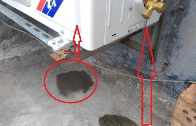 这些的“毛病”到底要不要修呢？