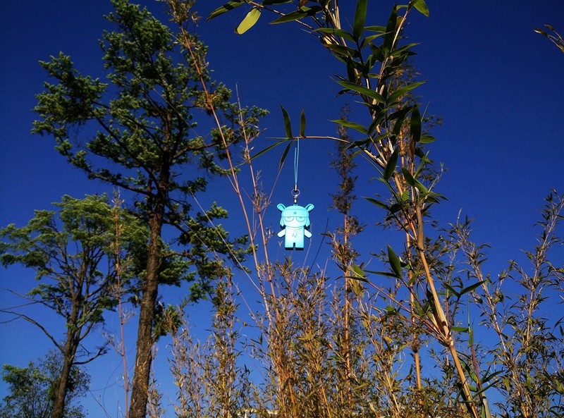 小米2tb的u盘,小米的u盘怎么样