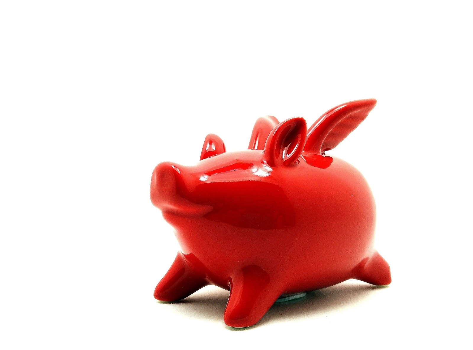 金猪陶瓷存钱罐大容量,存钱罐小猪陶瓷