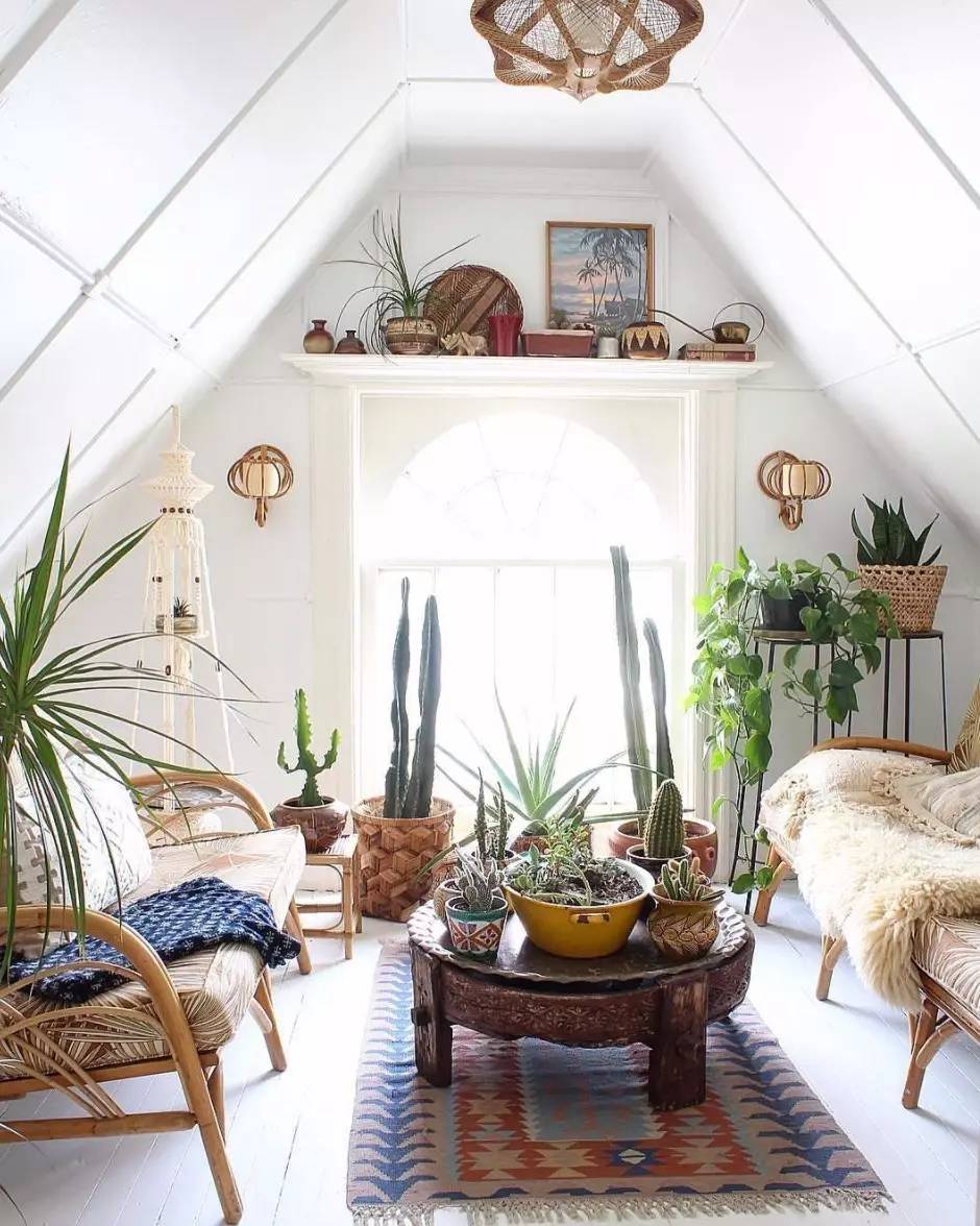 卖的最好的植物店,植物店能买到哪些植物