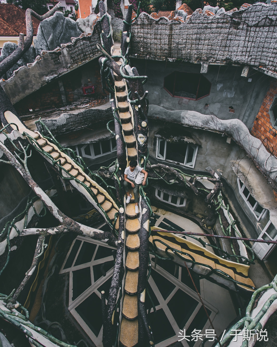 大叻值得去的地方,大叻旅游