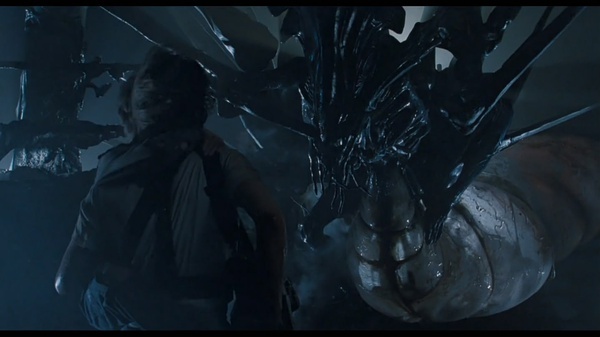 异形契约深度剖析,异形契约深度解析图