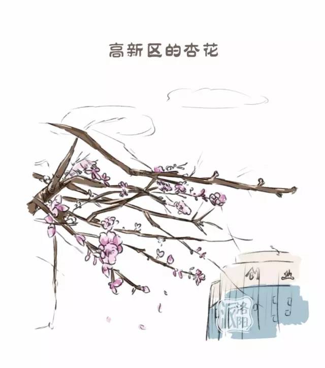 在洛阳生活中的感受,洛阳游玩真实感受