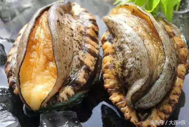 大连沙河口西岗中山哪个区最大,大连市区中山西岗沙河口