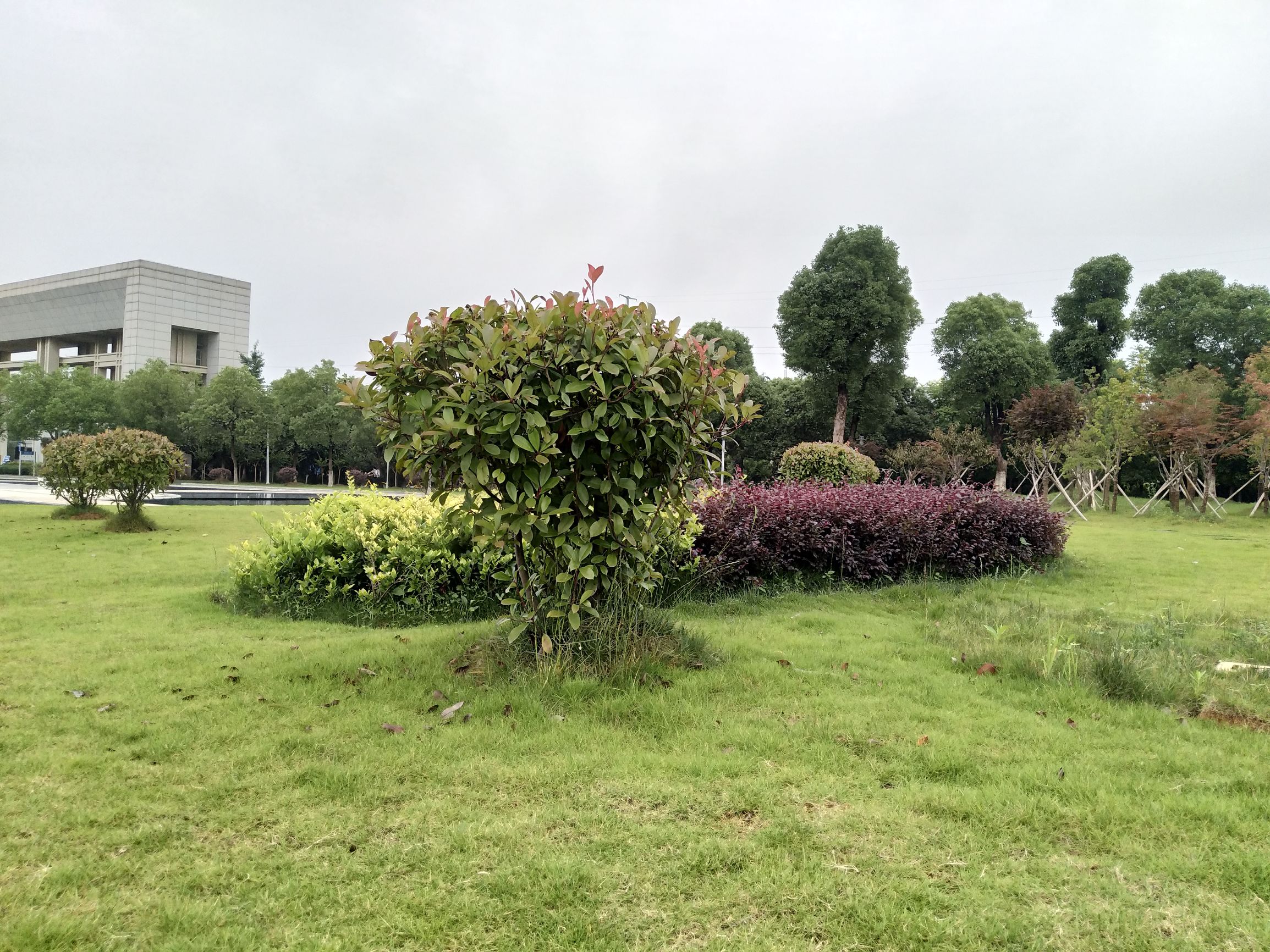 vivox9手机拍照效果图,拍照最好的手机vivox90系列