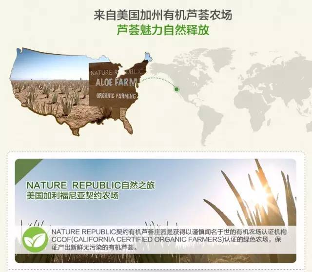 不用芦荟怎么做芦荟胶,不用的芦荟胶怎么办