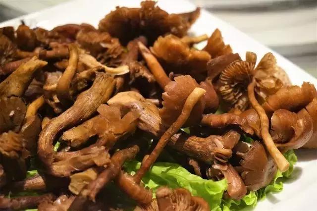 云南迎来“吃菌季”,今年云南吃菌季开始了吗