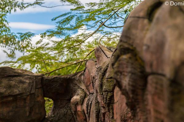 一顿海鲜大餐都有什么,海鲜大餐又便宜又营养又好吃