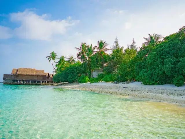 喜大普奔完整版视频,喜大普奔完整视频