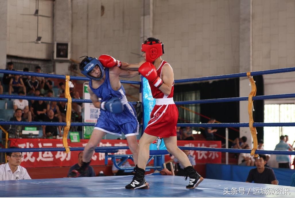 拳力以赴行动派综艺免费观看,山西第16届运动会拳击