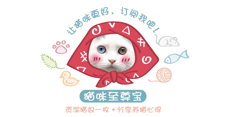 小仓鼠挑战大胃王吃热狗比赛，完胜两脚兽