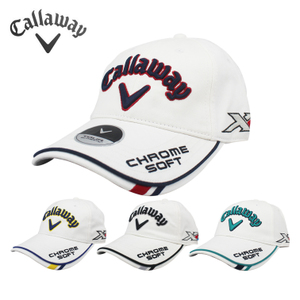 全球高尔夫球球星排名前十,全球十大最好的高尔夫球杆