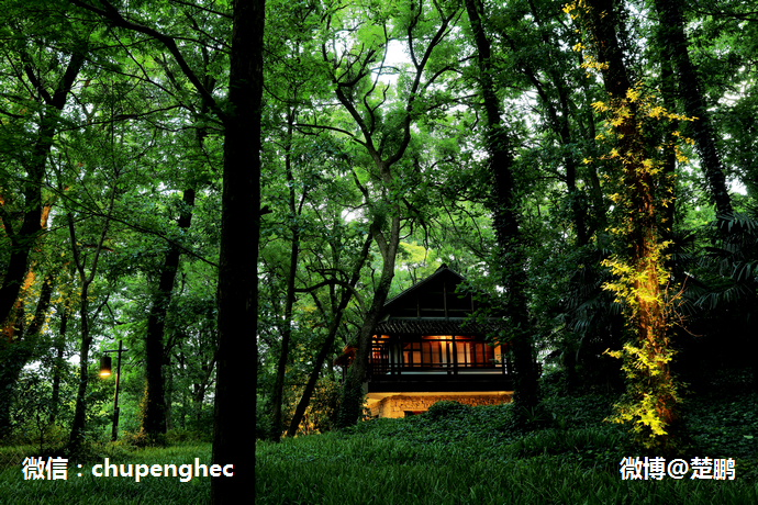 曾是马云江南会,只有9间房,中国最牛的野奢度假村什么样