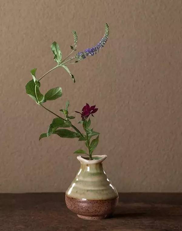 如何优雅地泡一杯茶,泡好一杯茶的技巧