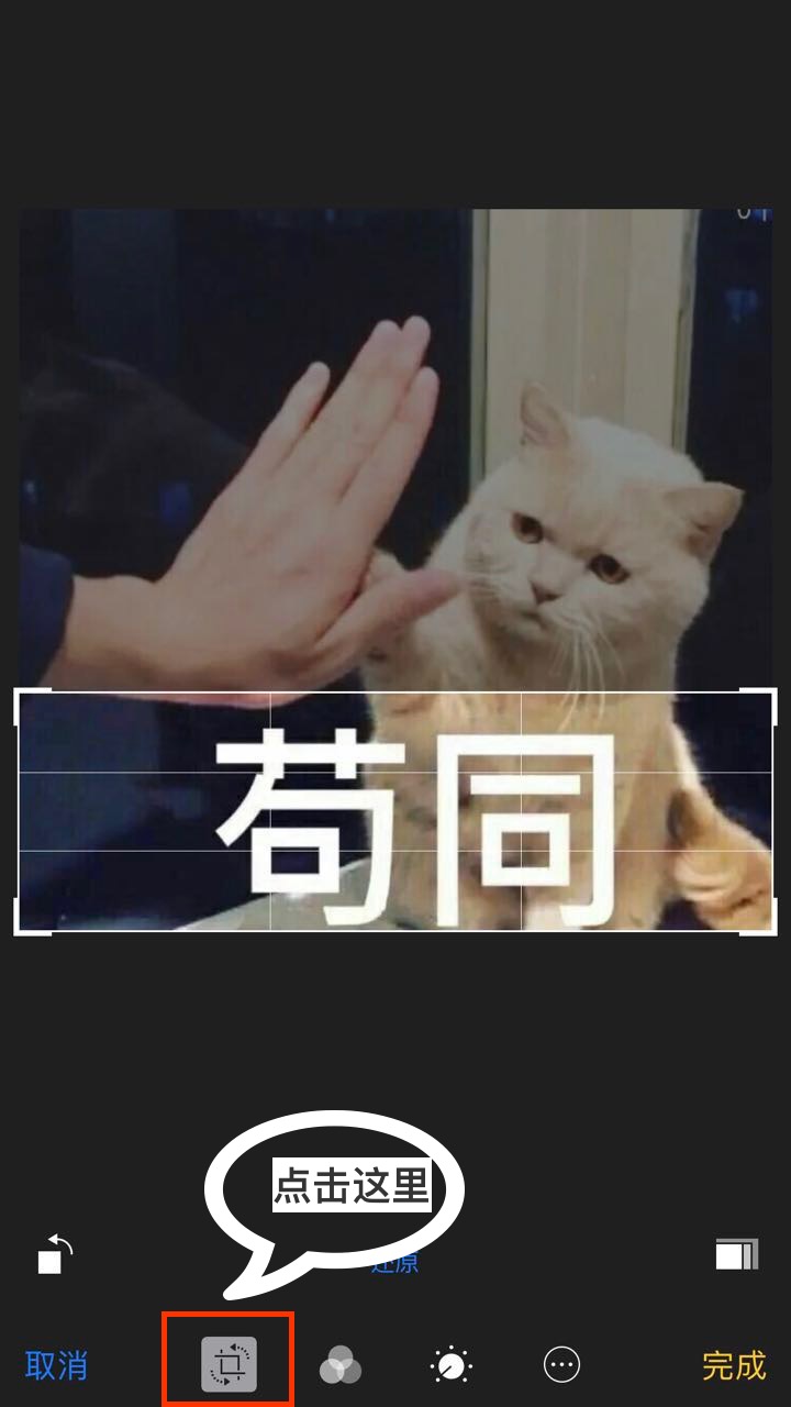 苹果手机截长图的方法6sp,iphone手机录音怎么截