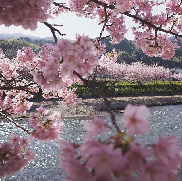 备孕期间感冒了还可以做试管吗,备孕期间感冒还能照常备孕吗