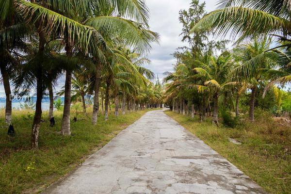 一顿海鲜大餐都有什么,海鲜大餐又便宜又营养又好吃