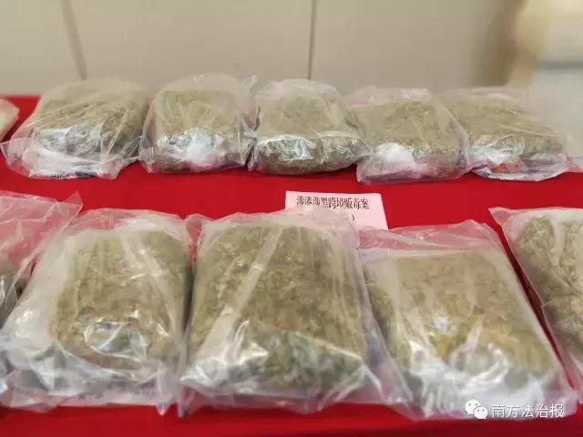 粤港澳7号行动,粤港联合开展雷霆行动