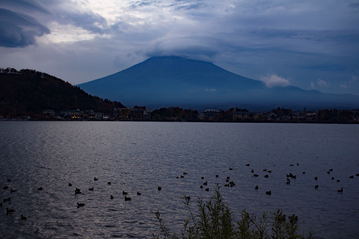 日本物语落樱下的邂逅,浪漫的日本物语