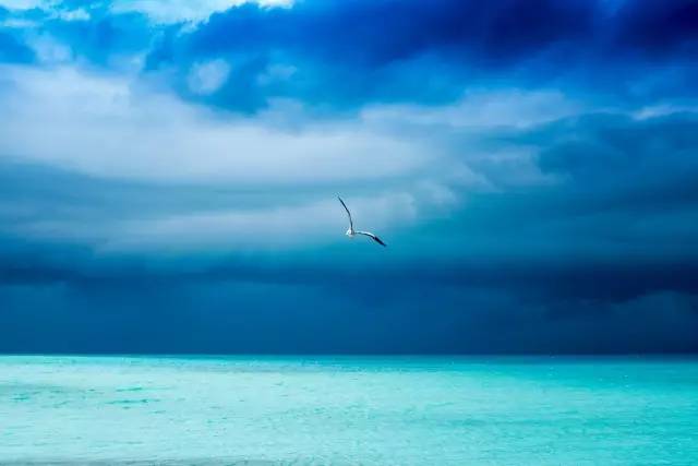 谁说带着娃就不能度蜜月？｜你没见过的马尔代夫游记