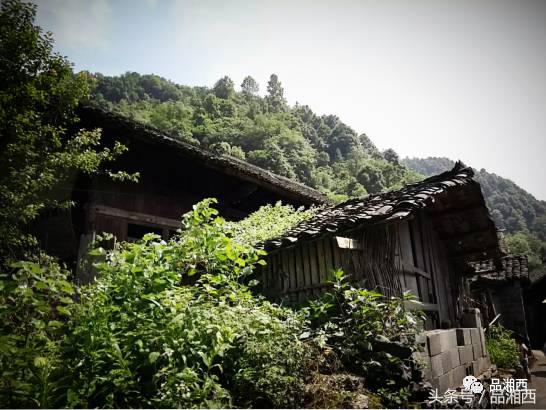 百年前，骤然消逝的苗寨“成江鬼井”，至今还是迷一样的存在