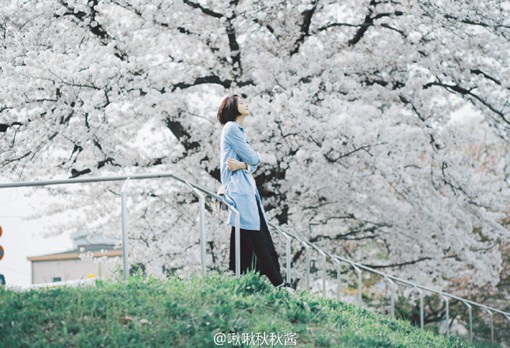 曾经许诺一起过独木桥,如今,你却要我独自过奈何桥