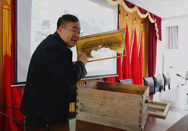 黎川中蜂养殖,养殖土蜂的利润与成本真实