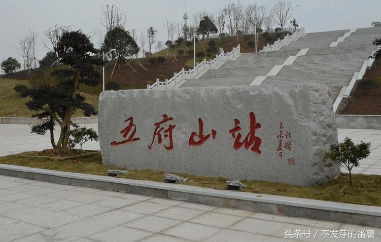 全国唯一米型高铁站,中国唯一一座乡村高铁站