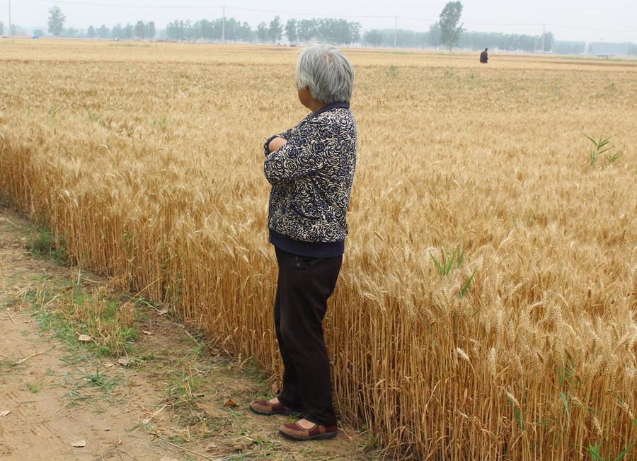 套马的汉子最威武视频,套马的汉子雄壮吗