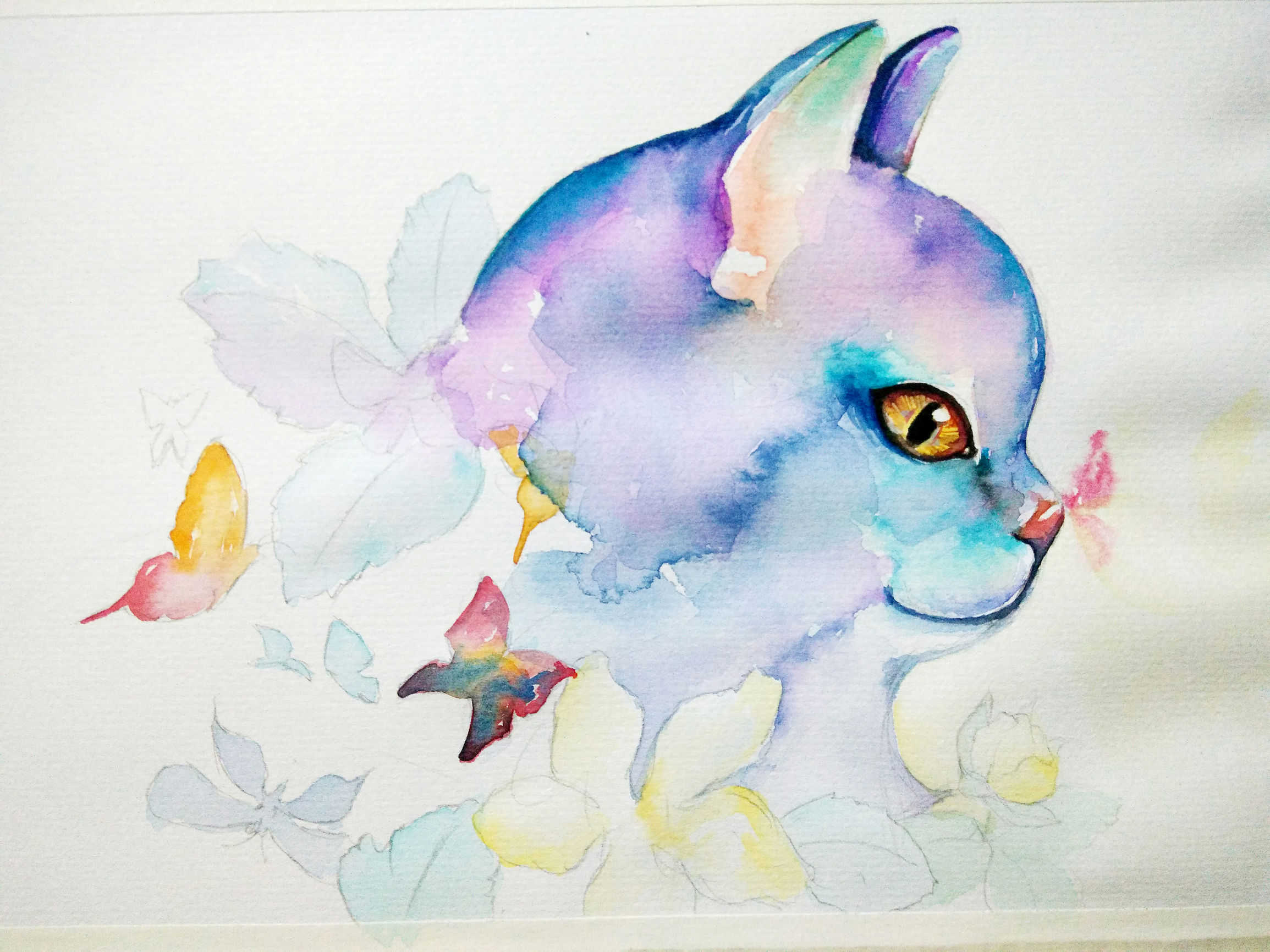 猫咪快速学会的技巧,猫咪快速教学