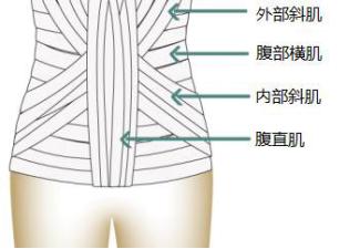 瘦腰腹赘肉的方法,瘦腰腹和肚子的最好方法