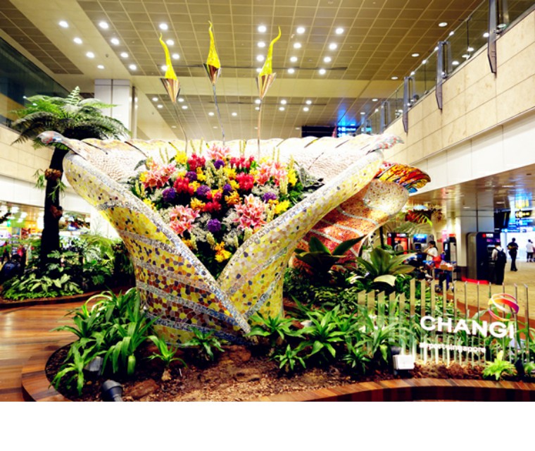 新加坡买什么东西最实惠,新加坡樟宜机场购物攻略