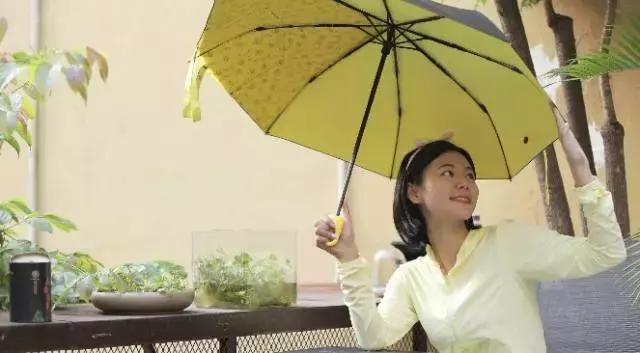 自动雨伞原理结构图修复,雨伞缺陷修复视频