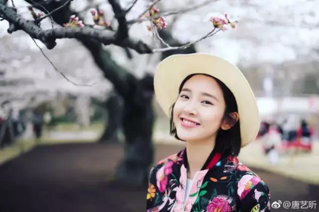 分享一下精美的狗粮,推荐一个平价又好的狗粮吧