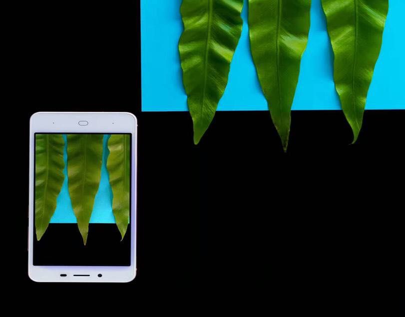 最高性价比的父亲节礼物红辣椒4A