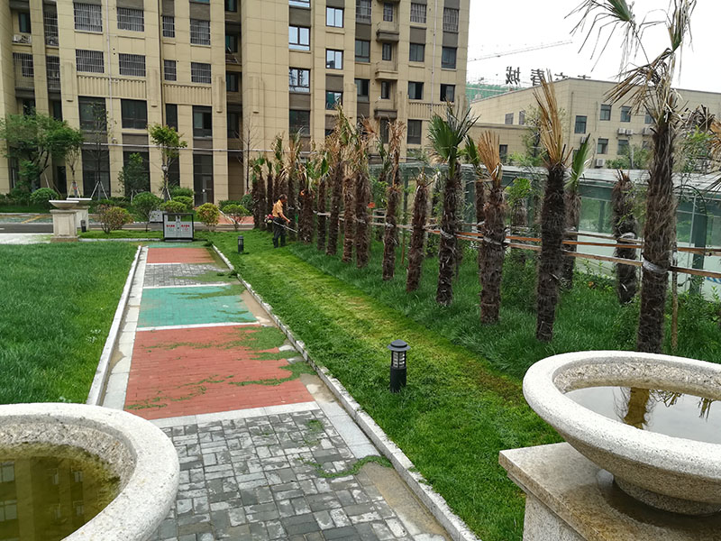 现在在丰县买房是明智的选择吗,丰县的房子值得购买吗