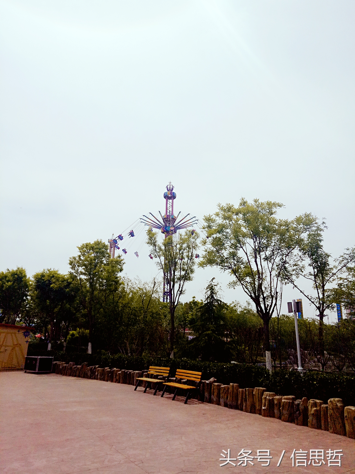 去香港旅游应该去哪玩,去香港旅游攻略最新消息