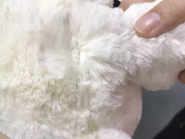 jellycat邦尼兔安抚巾,jellycat全球最好的安抚玩具