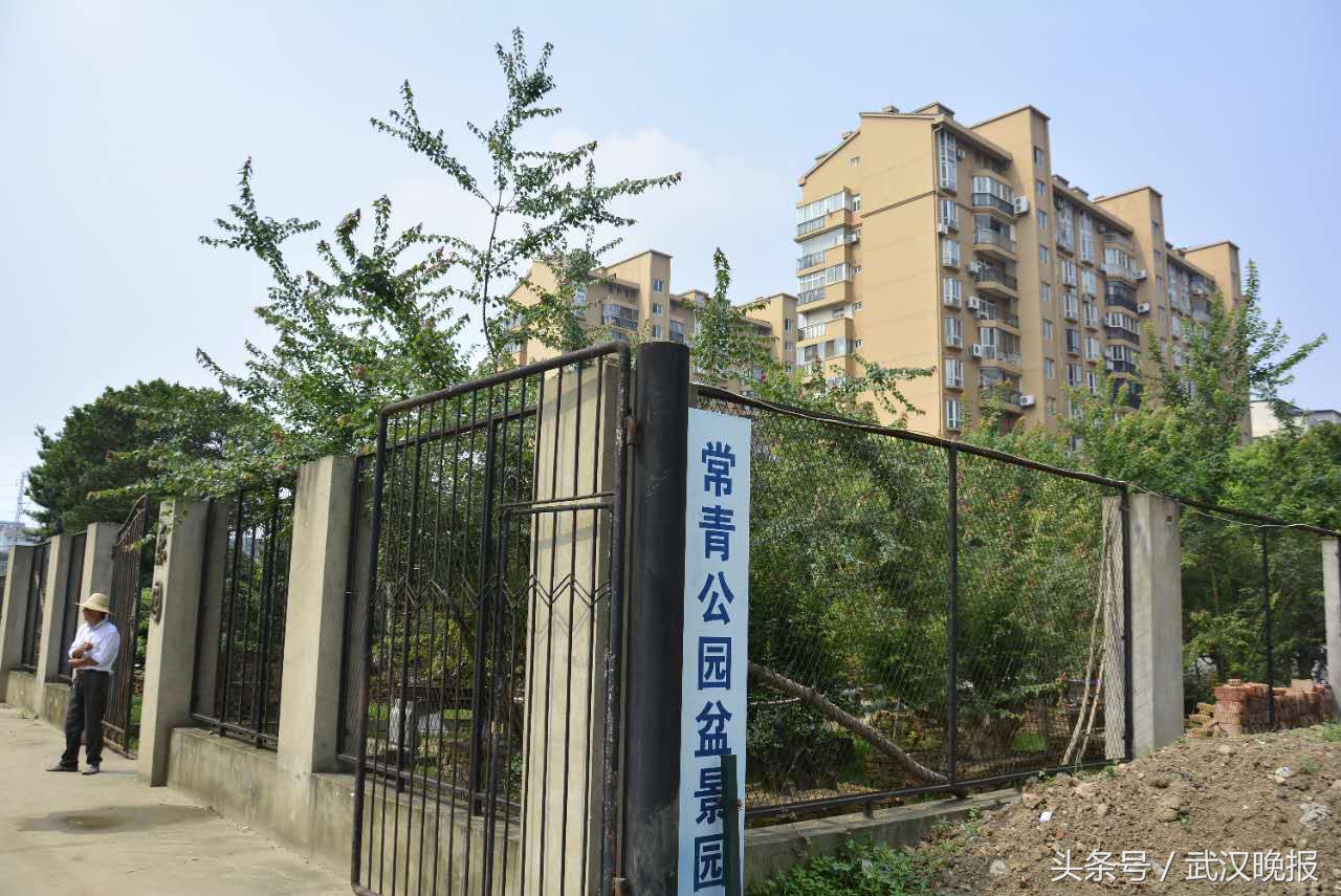 臭气熏天!汉口一家盆景园里用大粪施肥臭得附近居民不敢开窗